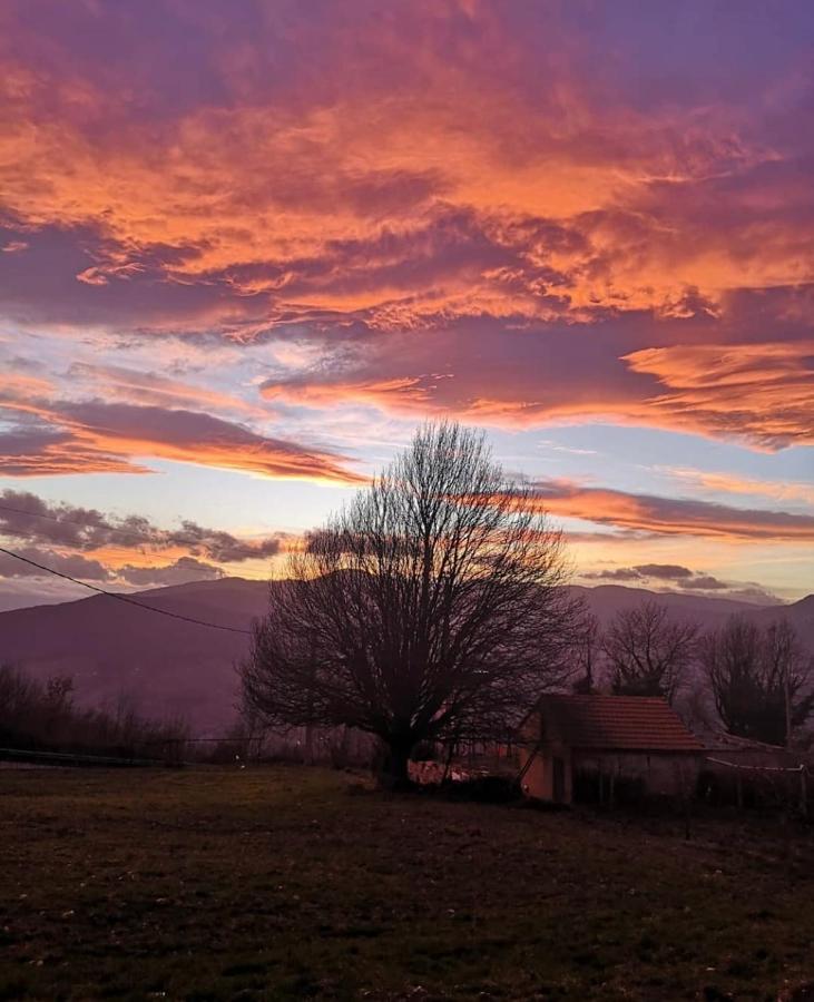 Bellavista B&B Roccavivara Zewnętrze zdjęcie