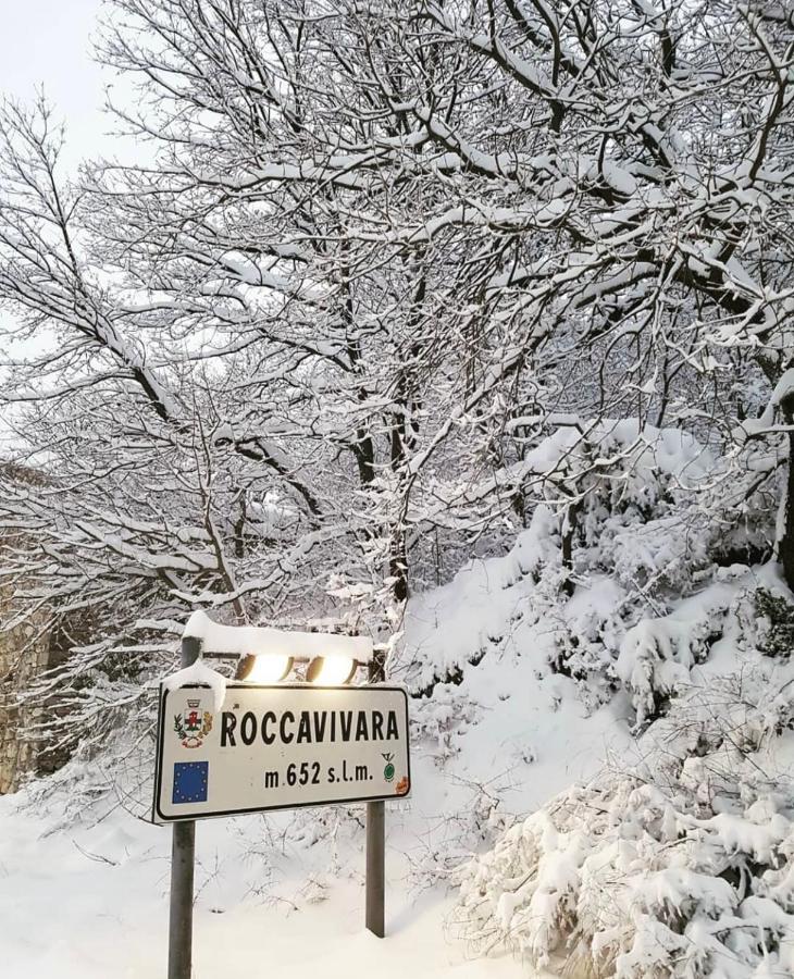 Bellavista B&B Roccavivara Zewnętrze zdjęcie