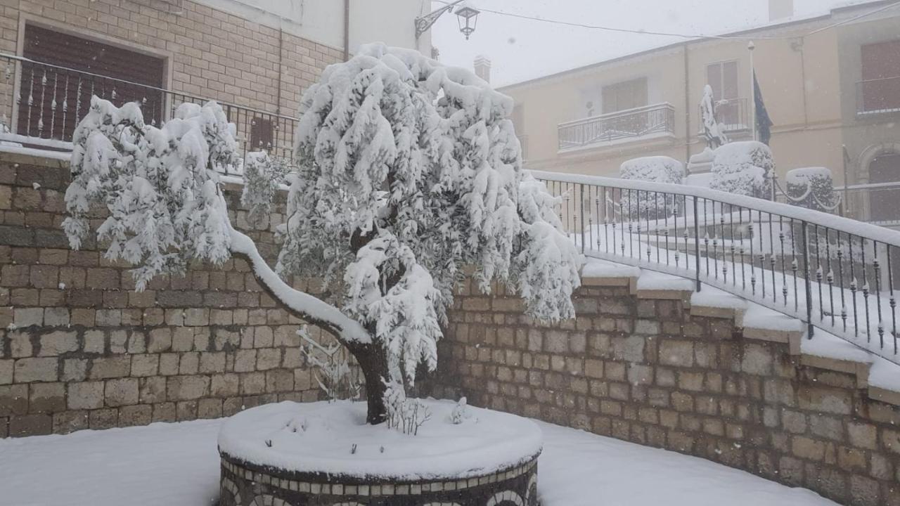 Bellavista B&B Roccavivara Zewnętrze zdjęcie